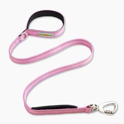 Dog Friendly Co. Classic Strain-Free Shock Resistant Dog Leash, Pink, Regular