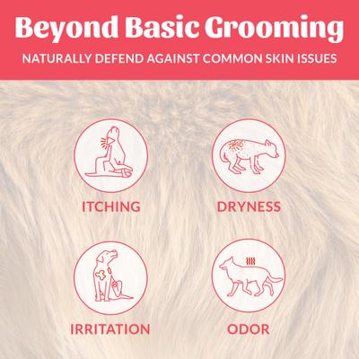 Show full view: Skout's Honor Natural Probiotic Dog & Cat Shampoo + Conditioner, Sunkissed Coconut Scent, 16-fl oz bottle slide 4 of 10
