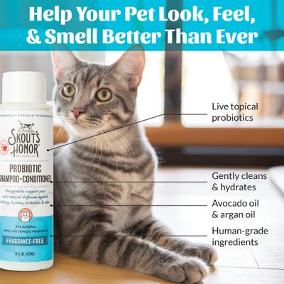 Show full view: Skout's Honor Probiotic Fragrance Free Cat Shampoo & Conditioner, 16-fl oz bottle slide 6 of 11