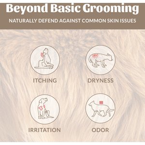 Skout's Honor Dog of the Woods Probiotic Dog Shampoo & Conditioner, 16-fl oz bottle