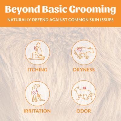 Show full view: Skout's Honor Probiotic Honeysuckle Daily Use Pet Deodorizer, 8-fl oz bottle slide 4 of 12