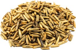 Kruse's Perfection Brand Super Grubs Chicken Treats, 4-lb bag slide 2 of 3