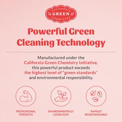 Show full view: Skout's Honor Severe Mess Stain & Odor Dog & Cat Spray, 35-fl oz bottle slide 8 of 11