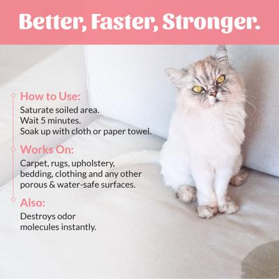 Show full view: Skout's Honor Professional Strength Urine & Odor Destroyer, 1-gal slide 6 of 13