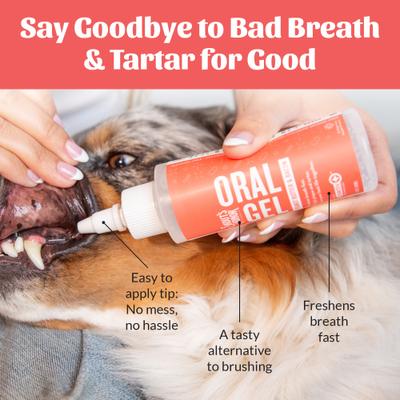 Show full view: Skout's Honor Peanut Butter & Bacon Dog Oral Gel, 4-fl oz bottle slide 6 of 11