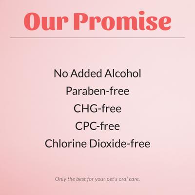 Show full view: Skout's Honor Peanut Butter & Bacon Dog Oral Gel, 4-fl oz bottle slide 8 of 11