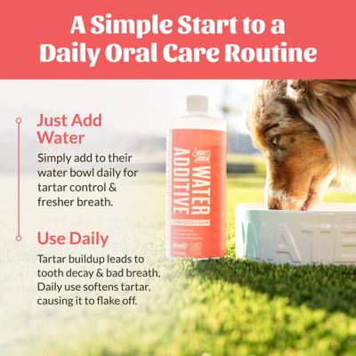 Show full view: Skout's Honor Oral Care Peanut Butter & Bacon Dog Dental Water Additive, 32-fl oz bottle slide 7 of 11