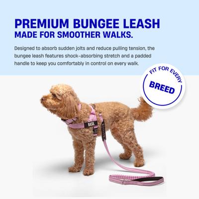 Show full view: Dog Friendly Co. Bungee Strain Free & Shock Resistant for Control Dog Leash, Sky Blue, Regular slide 2 of 7