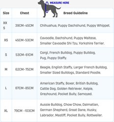 Dog Friendly Co. Bungee Strain Free & Shock Resistant for Control Dog Leash, Black, Regular slide 2 of 7