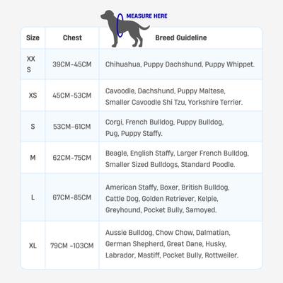 Show full view: Dog Friendly Co. Bungee Strain Free & Shock Resistant for Control Dog Leash, Sky Blue, Regular slide 6 of 7