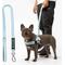 Show in main carousel: Dog Friendly Co. Bungee Strain Free & Shock Resistant for Control Dog Leash, Sky Blue, Regular slide 1 of 7