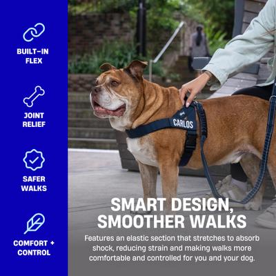 Show full view: Dog Friendly Co. Bungee Strain Free & Shock Resistant for Control Dog Leash, Sky Blue, Regular slide 5 of 7