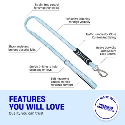 Show full view: Dog Friendly Co. Bungee Strain Free & Shock Resistant for Control Dog Leash, Sky Blue, Regular slide 4 of 7