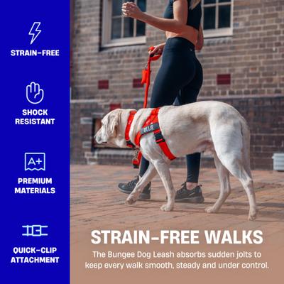 Show full view: Dog Friendly Co. Bungee Strain Free & Shock Resistant for Control Dog Leash, Sky Blue, Regular slide 3 of 7