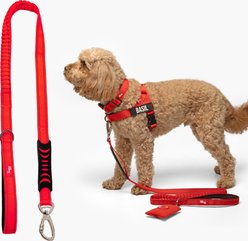 Dog Friendly Co. Bungee Strain Free & Shock Resistant for Control Dog Leash, Red, Small