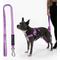 Show in main carousel: Dog Friendly Co. Bungee Strain Free & Shock Resistant for Control Dog Leash, Purple, Small slide 1 of 7
