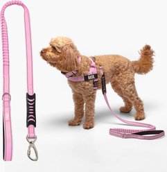Dog Friendly Co. Bungee Strain Free & Shock Resistant for Control Dog Leash, Pink, Small