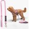Show in main carousel: Dog Friendly Co. Bungee Strain Free & Shock Resistant for Control Dog Leash, Pink, Small slide 1 of 7