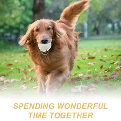 Wefeedy Automatic Ball Launcher Dog Toy slide 2 of 8