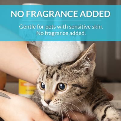 Show full view: Skout's Honor Probiotic Fragrance Free Cat Shampoo & Conditioner, 16-fl oz bottle slide 7 of 11