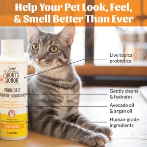 Skout's Honor Probiotic Honeysuckle Cat Shampoo & Conditioner, 16-fl oz bottle