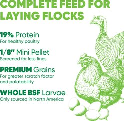 Kruse's Perfection Brand Super Coop with Grubs Chicken Food Mixer, 40-lb bag slide 2 of 3