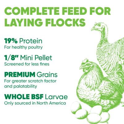 Show full view: Kruse's Perfection Brand Super Coop with Grubs Chicken Food Mixer, 40-lb bag slide 3 of 3