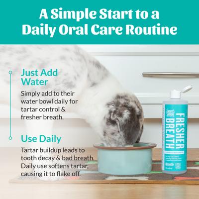 Show full view: Skout's Honor Flavorless Dental Water Additive for Dogs, 16-fl oz bottle slide 7 of 11