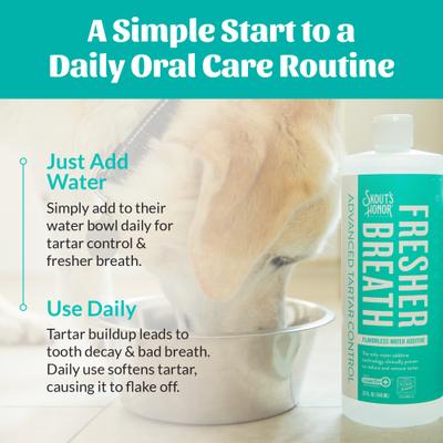 Show full view: Skout's Honor Oral Care Fresh & Flavorless Dog & Cat Dental Water Additive, 32-fl oz bottle slide 7 of 11