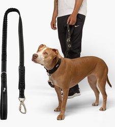 Dog Friendly Co. Bungee Strain Free & Shock Resistant for Control Dog Leash, Black, Regular slide 1 of 7