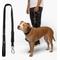 Show in main carousel: Dog Friendly Co. Bungee Strain Free & Shock Resistant for Control Dog Leash, Black, Regular slide 1 of 7