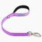 Show in main carousel: Dog Friendly Co. Close Control Short Trainer Strain Free & Shock Resistant Dog Leash, Purple, Regular slide 1 of 3