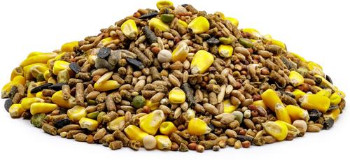 Show full view: Universal Quality Feed Champion with Cracked Corn Chicken Food, 50-lb bag slide 2 of 2