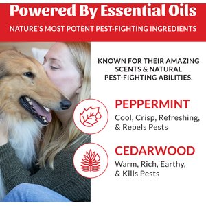 Skout's Honor Flea & Tick Yard Spray, 32-fl oz bottle