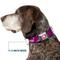 Show in main carousel: Buckle-Down Disney Im 99.9 Percent Sure Im A Disney Princess Dog Collar, Large: 15 to 24-in neck, 1-in wide slide 7 of 8
