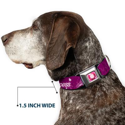 Show full view: Buckle-Down Disney Im 99.9 Percent Sure Im A Disney Princess Dog Collar, Large: 15 to 24-in neck, 1-in wide slide 7 of 8