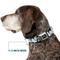 Show in main carousel: Buckle-Down Disney Dogs Group Collage Paws Dog Collar, Medium: 11 to 16.5-in neck, 1-in wide slide 7 of 8