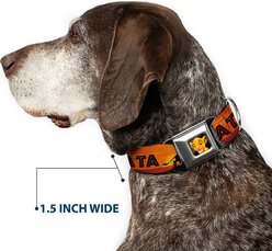 Buckle-Down Disney Lion King Hakuna Matata Sunset Dog Collar, Medium: 16 to 23-in neck, 1.5-in wide slide 2 of 8
