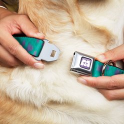 Buckle-Down Disney Monsters Inc Sulley Bounding Spots Dog Collar, Large: 15 to 24-in neck, 1-in wide slide 2 of 8