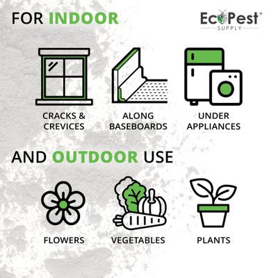 Show full view: ECOPEST Broad-Spectrum Insect Killer Dust Dog & Cat Flea & Tick Powder, 1-lb bag slide 4 of 7