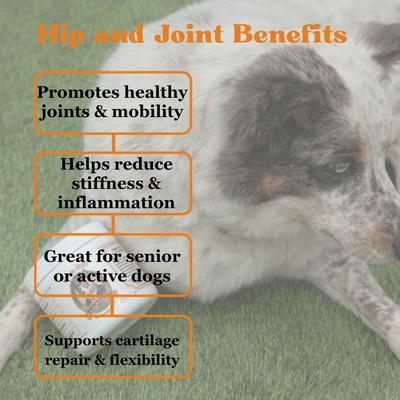 Show full view: Pawssups Hip & Joint Support Chew Supplement for Dogs, 120 count jar slide 5 of 11