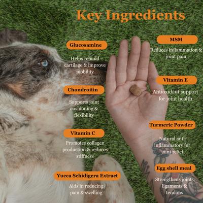 Show full view: Pawssups Hip & Joint Support Chew Supplement for Dogs, 120 count jar slide 3 of 11