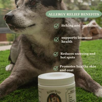 Show full view: Pawssups Allergy Relief Chew Supplement for Dogs, 12 count jar slide 5 of 10