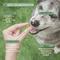 Show in main carousel: Pawssups Allergy Relief Chew Supplement for Dogs, 12 count jar slide 3 of 10