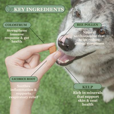 Show full view: Pawssups Allergy Relief Chew Supplement for Dogs, 12 count jar slide 3 of 10