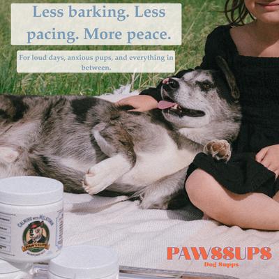 Show full view: Pawssups Calming with Melatonin Chew Supplement for Dogs, 120 count jar slide 7 of 10