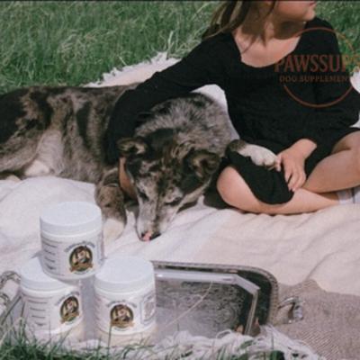 Show full view: Pawssups Calming with Melatonin Chew Supplement for Dogs, 120 count jar slide 8 of 10