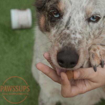 Show full view: Pawssups Skin & Coat Chew Supplement for Dogs, 120 count jar slide 8 of 12