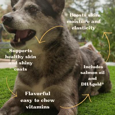Show full view: Pawssups Skin & Coat Chew Supplement for Dogs, 120 count jar slide 5 of 12