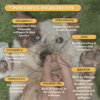 Show full view: Pawssups Skin & Coat Chew Supplement for Dogs, 120 count jar slide 3 of 12